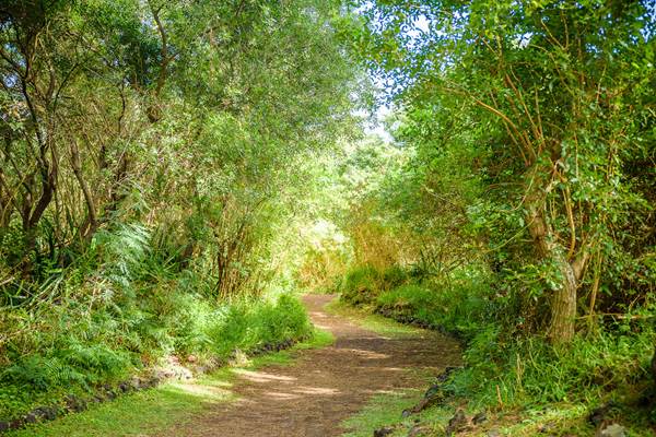 Le parcours de santé